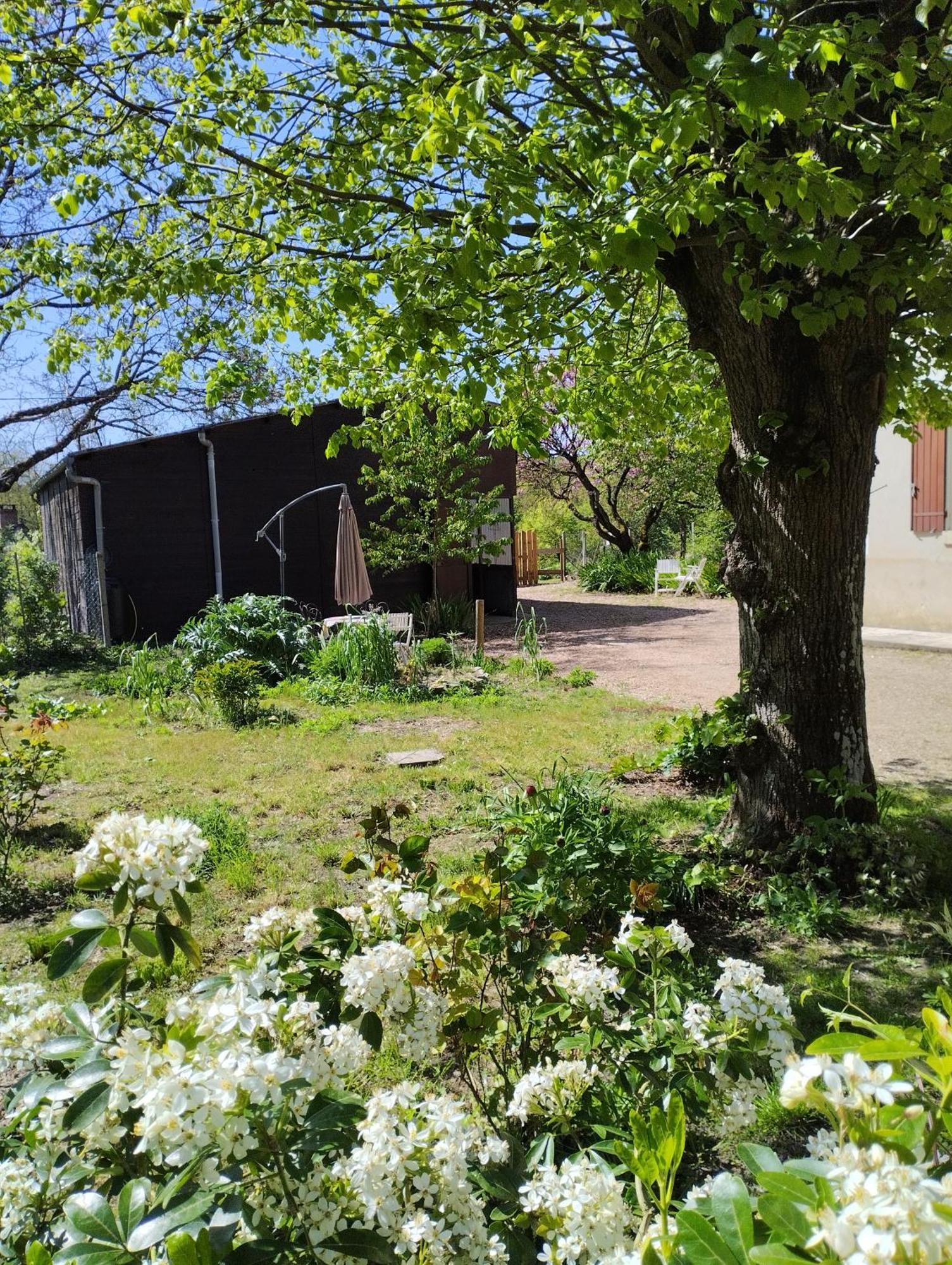 Villa La Jolie Ruche Saint-Georges-sur-Cher Exterior foto